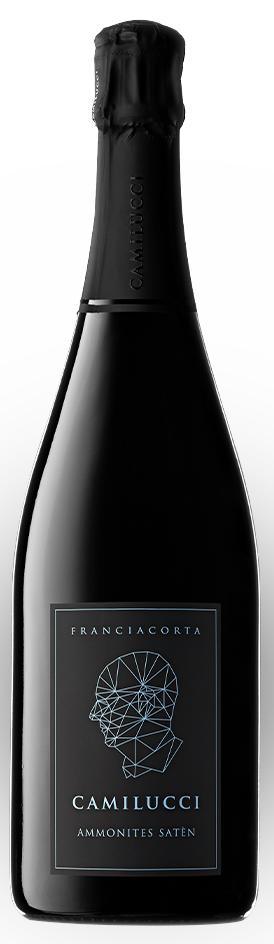 Franciacorta Ammonites Satèn, Weingut Camilucci brut, 0,75 l